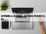 豆传媒剧mv在线播放（豆传媒公司是做什么的）